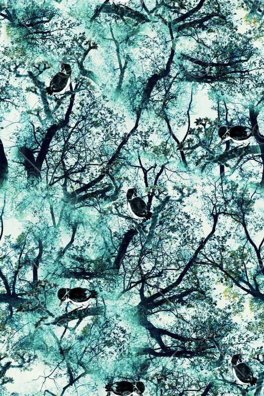 鸟印花华亿平台图片