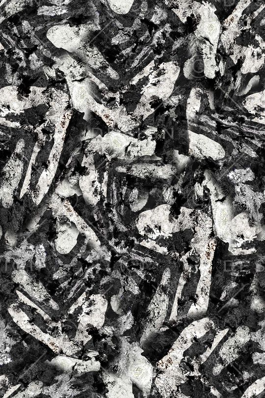 男装印花华亿平台图片