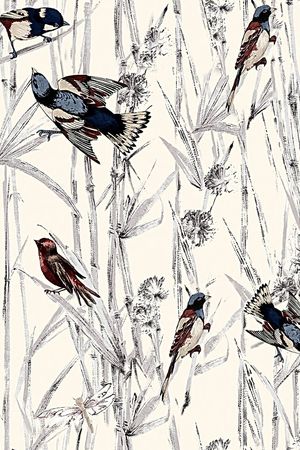 杜嘉班纳印花华亿平台图片