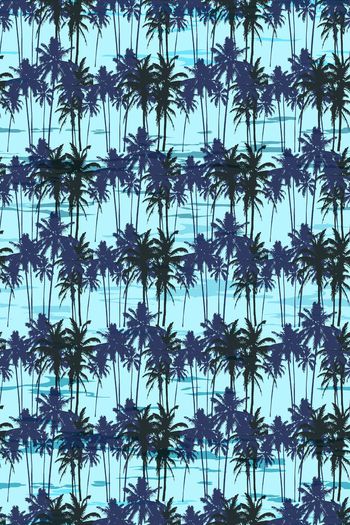 659268-椰树 夏日海边风