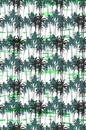 659269-椰树 夏日海边风--2