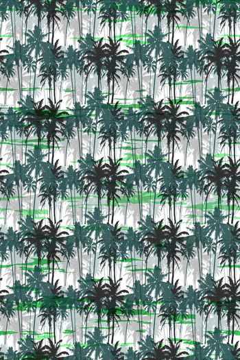 659270-椰树 夏日海边风--3