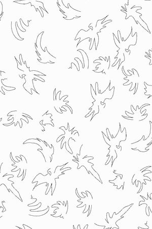 线条印花华亿平台图片