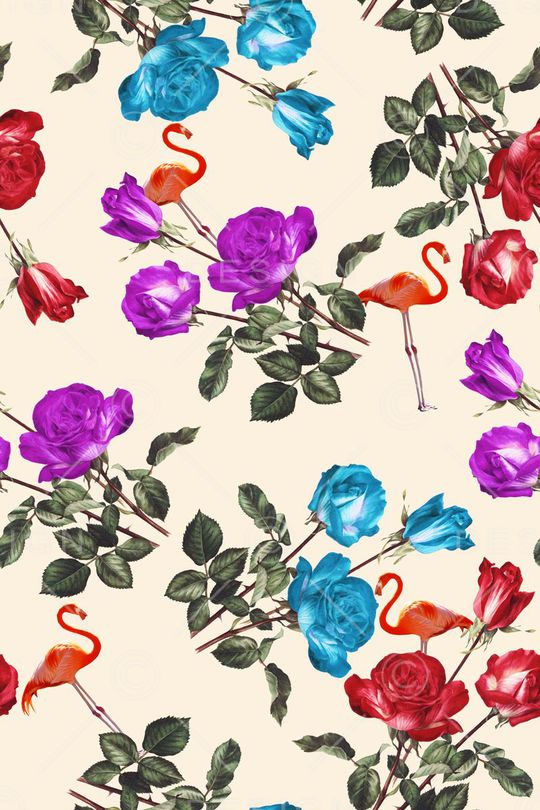 花鸟印花华亿平台图片