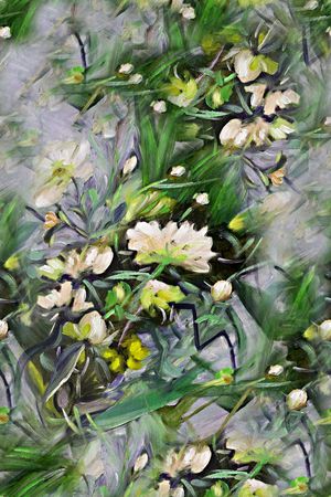 时尚印花华亿平台图片