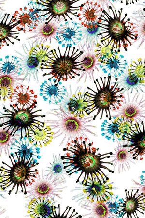 女装印花华亿平台图片