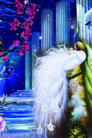 莫妮卡-定位女装华亿平台印花华亿平台图片