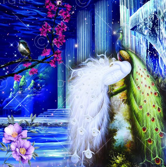 莫妮卡-定位女装华亿平台印花华亿平台图片