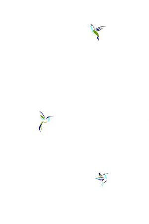 昆虫印花华亿平台图片