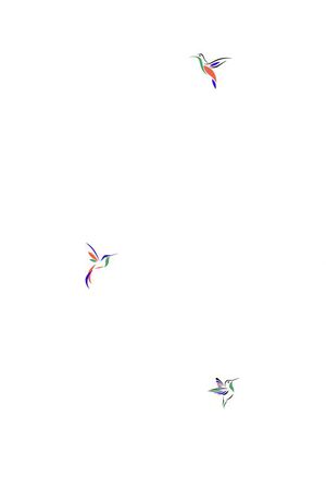 昆虫印花华亿平台图片