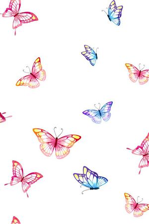 百鸟图印花华亿平台图片