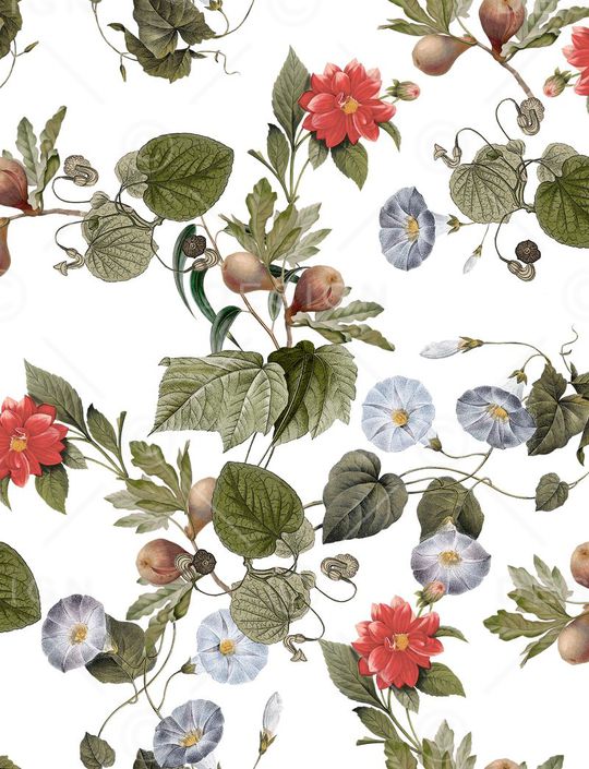 玫瑰印花华亿平台图片