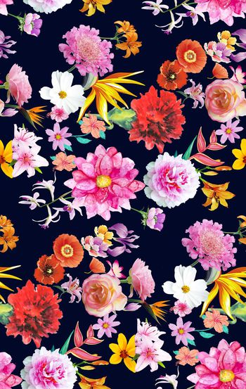 659803-彩色 花卉花朵组合