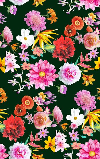 659804-彩色 花卉花朵组合--2