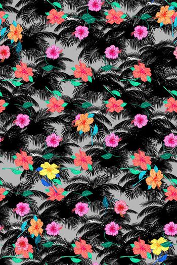 659807-花朵 黑色椰树叶子背景