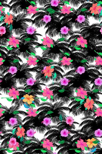659808-花朵 黑色椰树叶子背景--2