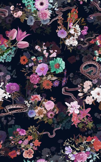 659811-花卉 大花蛇