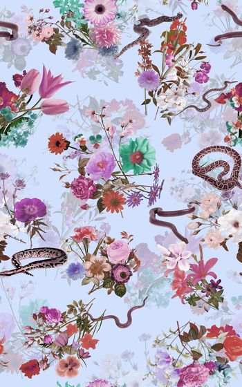 659850-花卉 大花蛇--2