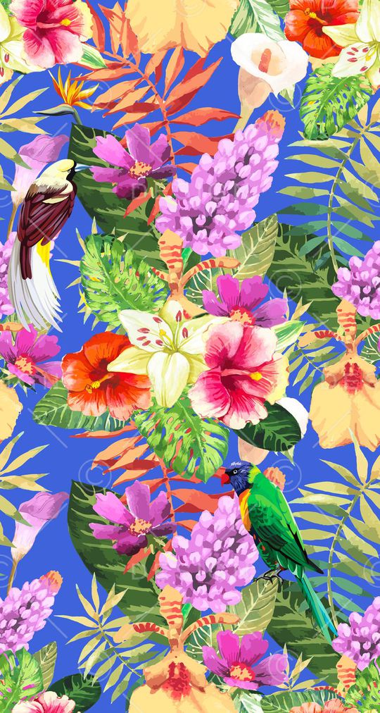 热带雨林印花华亿平台图片