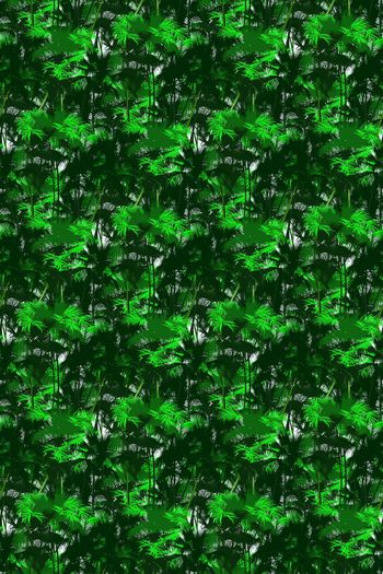 659930-手绘立体椰树 椰叶