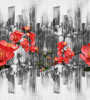 海棠花印花华亿平台图片