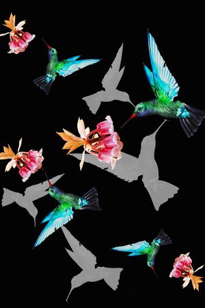 昆虫印花华亿平台图片