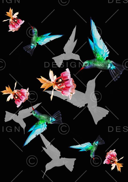 昆虫印花华亿平台图片