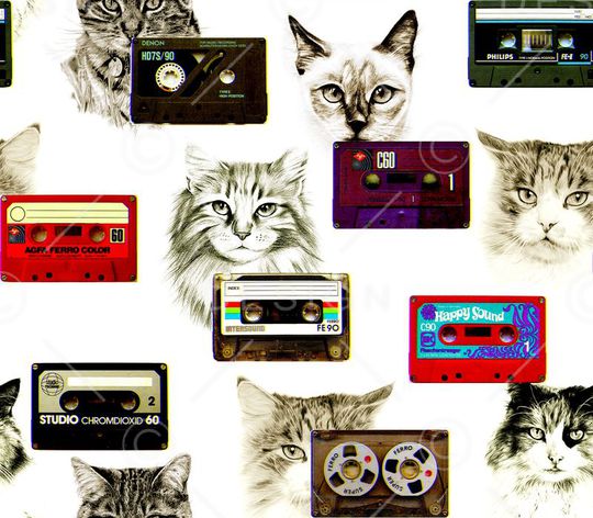 大牌猫咪印花华亿平台图片