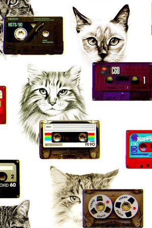 大牌猫咪印花华亿平台图片