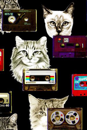 大牌猫咪印花华亿平台图片