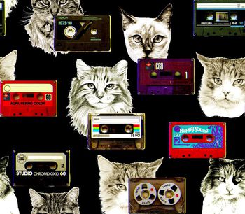 660377-原创猫咪录音带黑底