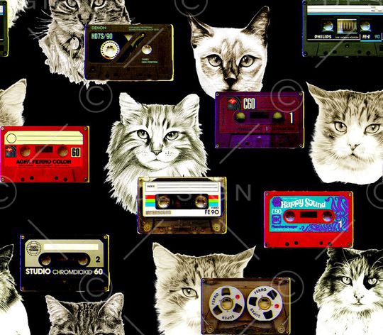 大牌猫咪印花华亿平台图片