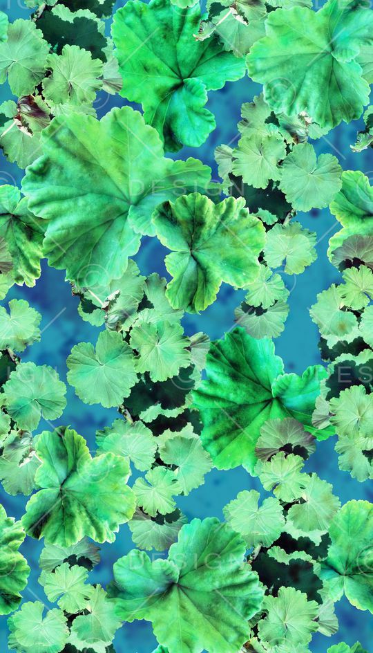 树叶、云彩、纹理印花华亿平台图片