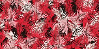 660518-热带树叶叶子华亿平台-3