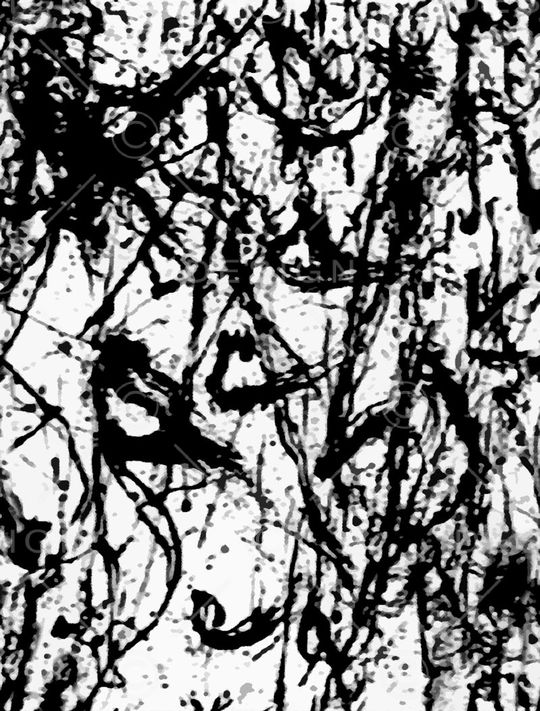 卡通印花华亿平台图片