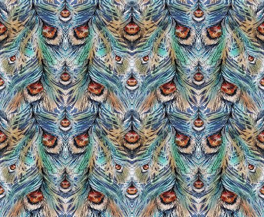 卡通印花华亿平台图片