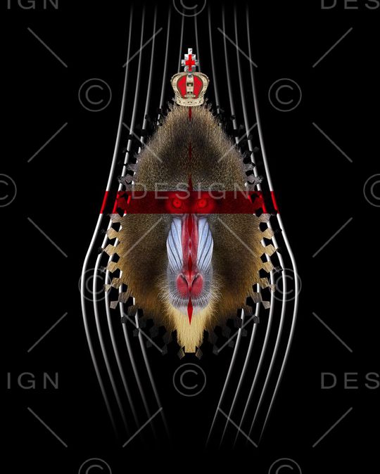 marceloburlon印花华亿平台图片