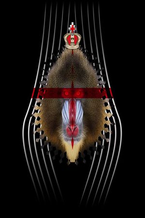 marceloburlon印花华亿平台图片