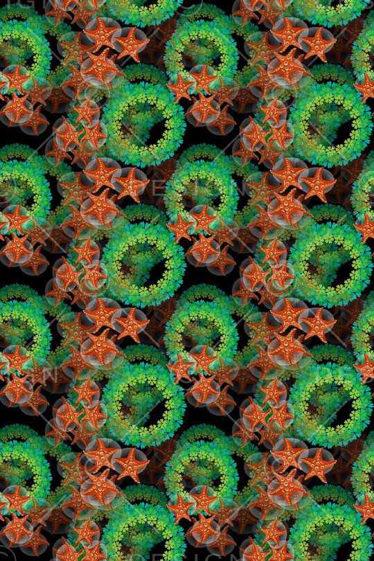 海星印花华亿平台图片