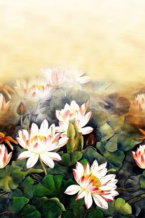 中老年印花华亿平台图片