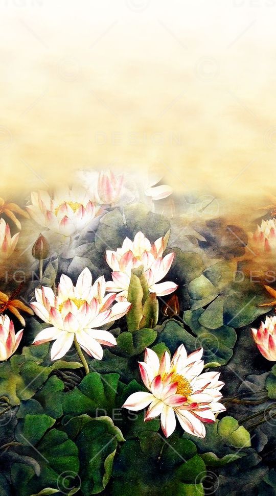 中老年印花华亿平台图片