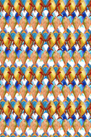 漫画印花华亿平台图片