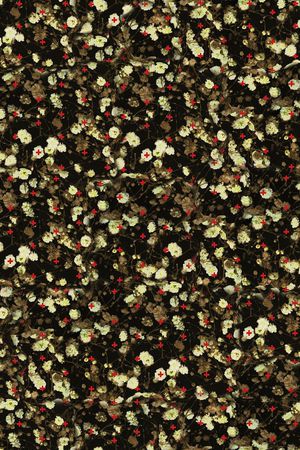 大牌男装印花华亿平台图片