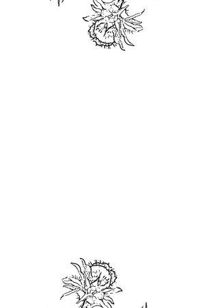 卡通印花华亿平台图片