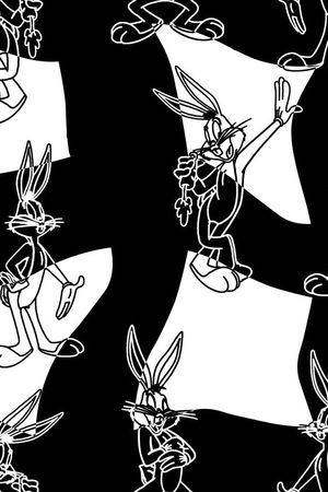 2017年春夏女装格子花卉印花华亿平台图片