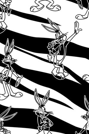 2017年春夏女装格子花卉印花华亿平台图片