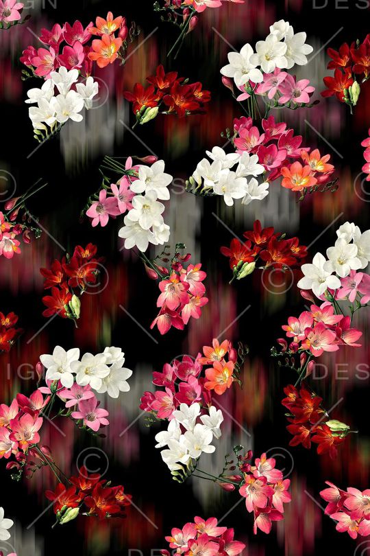 油画花卉印花华亿平台图片