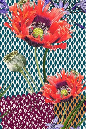 热带印花华亿平台图片