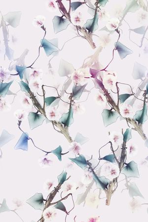 花瓣印花华亿平台图片