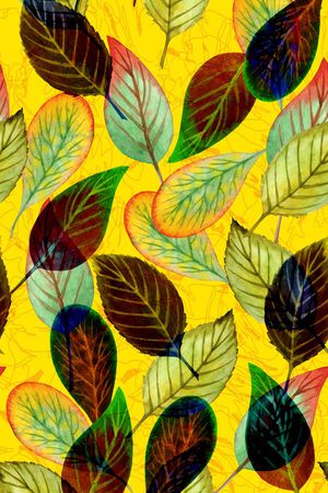 泳装印花华亿平台图片